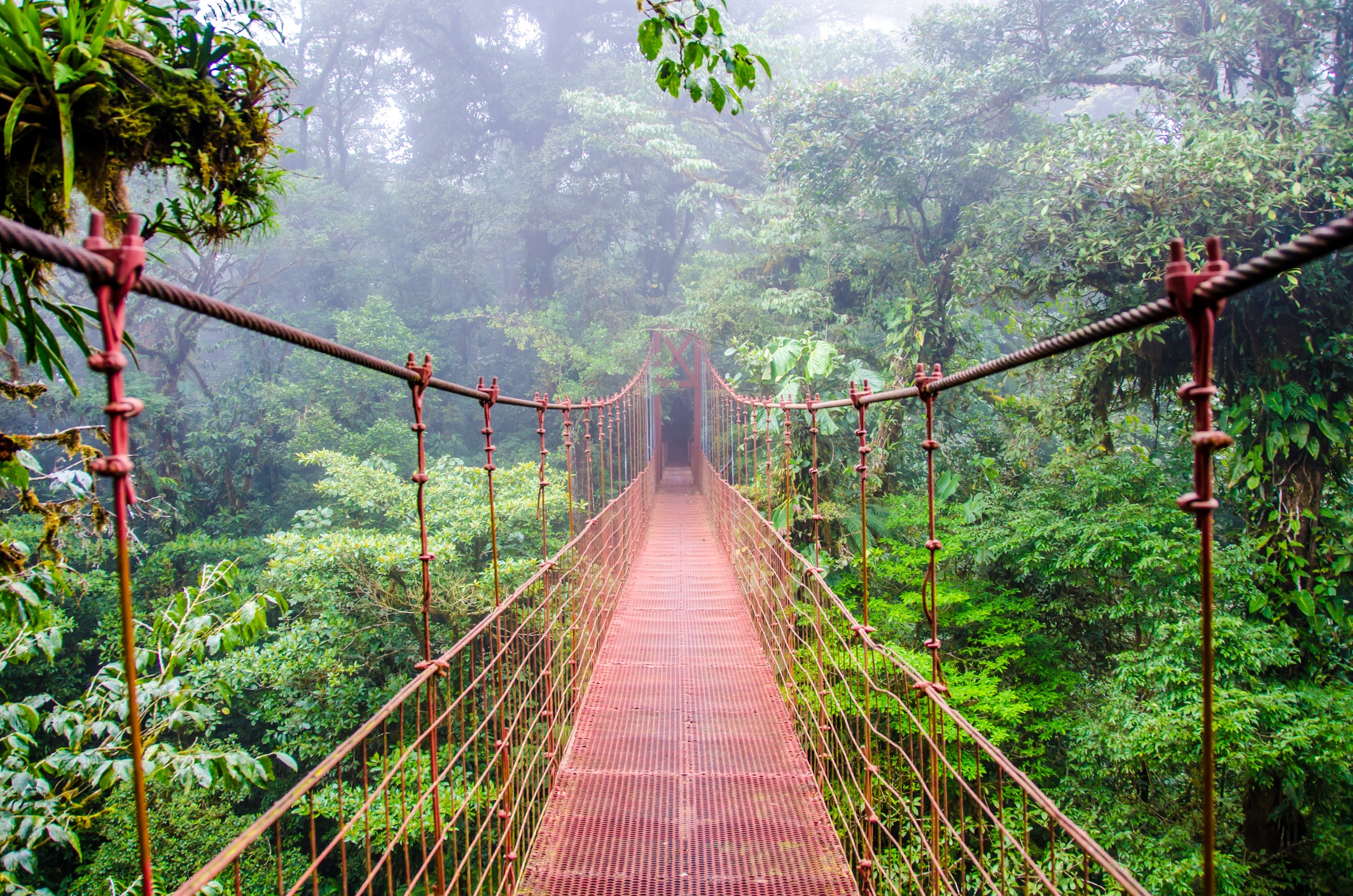 Costa Rica Pacific Coast and Jungle Landscape