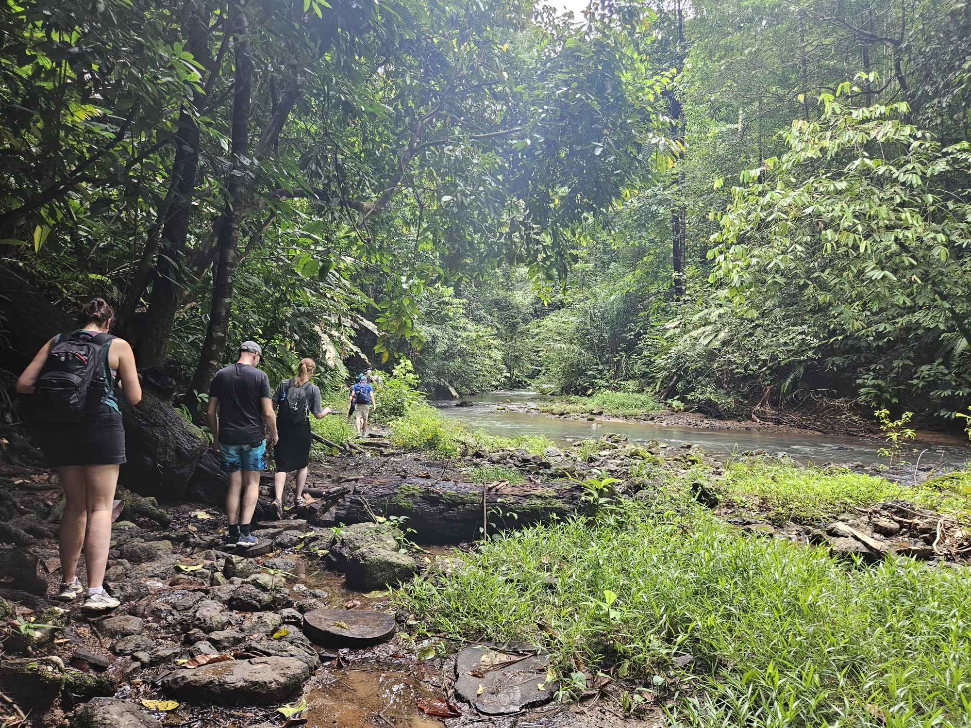 Costa Rica cloud forest bridges in Monteverde